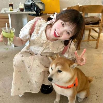 王朝消亡